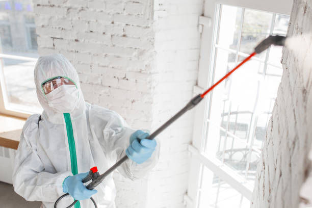 Best Biohazard Mold Removal  in Fairlea, WV