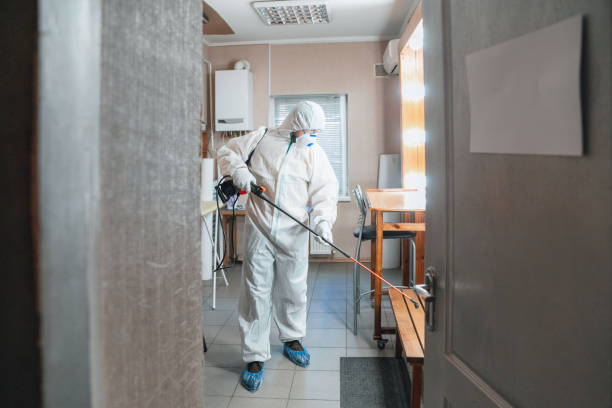 Best Environmental Consulting for Mold Prevention  in Fairlea, WV