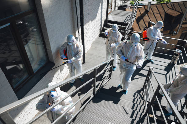Professional Mold Removal in Fairlea, WV