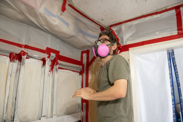 Best Comprehensive Air Testing for Mold Contaminants  in Fairlea, WV