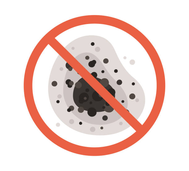 Biohazard Mold Removal in Fairlea, WV