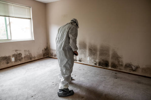 Best Residential Mold Inspection & Testing  in Fairlea, WV